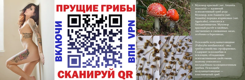 Псилоцибиновые грибы мухоморы  что такое   Бирск 