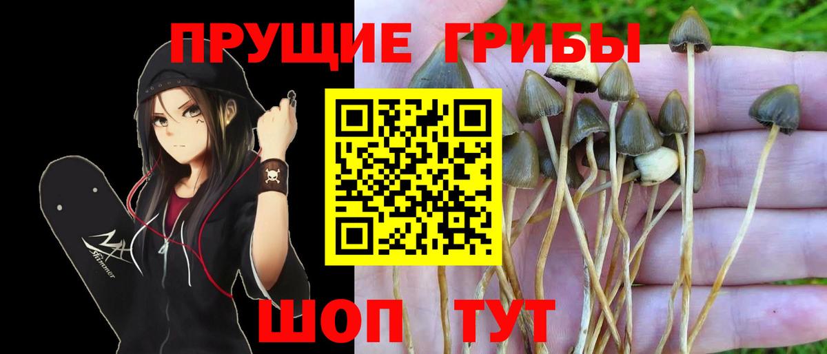 Галлюциногенные грибы прущие грибы Бирск